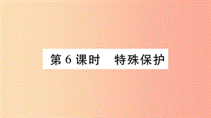 寧夏2019中考道德與法治考點(diǎn)復(fù)習(xí) 第二篇 第二板塊 法律部分 第6課時(shí) 特殊保護(hù)課件.ppt