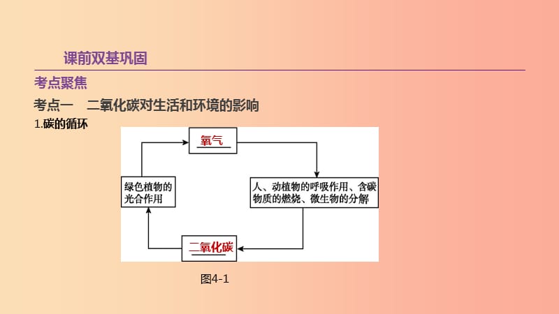 江苏省徐州市2019年中考化学复习 第2章 身边的化学物质 第4课时 奇妙的二氧化碳课件.ppt_第2页