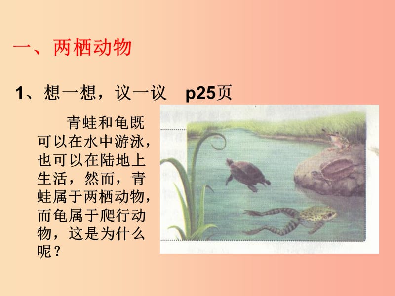 吉林省八年级生物上册 5.1.5 两栖动物和爬行动物课件 新人教版.ppt_第2页