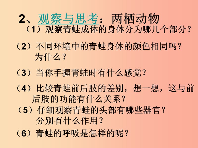 吉林省八年级生物上册 5.1.5 两栖动物和爬行动物课件 新人教版.ppt_第3页