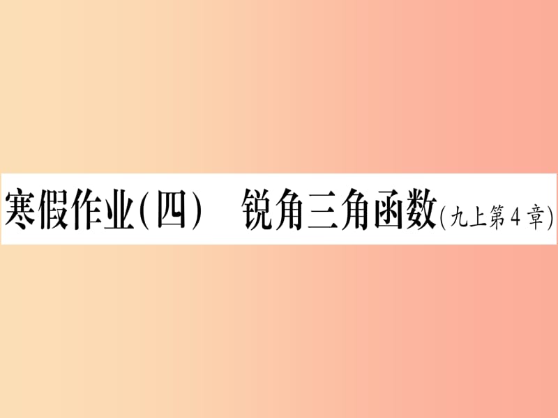 九年级数学下册 寒假作业（四）锐角三角函数作业课件 （新版）湘教版.ppt_第1页