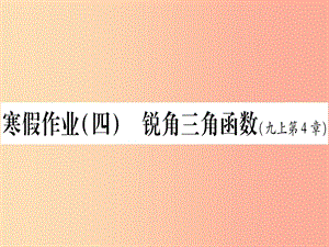 九年级数学下册 寒假作业（四）锐角三角函数作业课件 （新版）湘教版.ppt