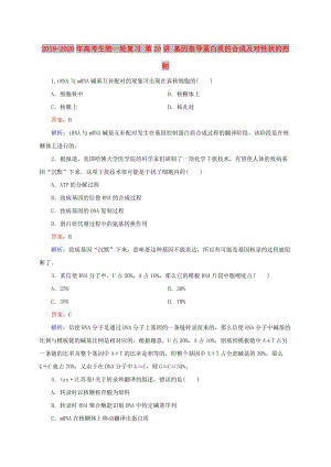 2019-2020年高考生物一輪復習 第20講 基因指導蛋白質的合成及對性狀的控制.doc