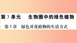 2019年七年級生物上冊第3單元第5章第1節(jié)光合作用第1課時習(xí)題課件（新版）北師大版.ppt