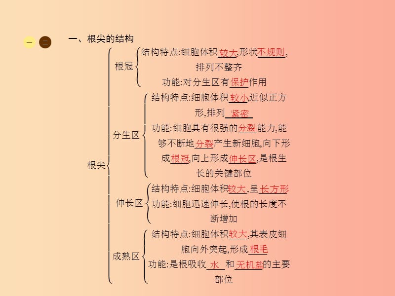 七年级生物上册3.5.2植物根的生长习题课件新版苏教版.ppt_第2页