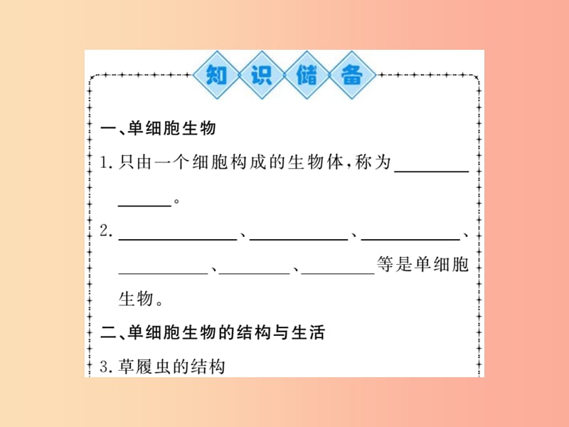 2019年七年级生物上册第2单元第2章第四节单细胞生物习题课件 新人教版.ppt_第2页