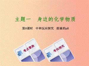 湖南省2019年中考化學(xué)復(fù)習(xí) 主題一 身邊的化學(xué)物質(zhì) 第8課時(shí) 中和反應(yīng)探究 溶液的pH課件.ppt