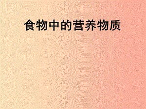 安徽省七年級(jí)生物下冊(cè) 4.2.1《食物中的營(yíng)養(yǎng)物質(zhì)》課件2 新人教版.ppt