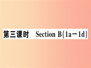 安徽專版2019年秋七年級(jí)英語上冊(cè)Unit5Doyouhaveasoccerball第3課時(shí)習(xí)題講評(píng)課件 人教新目標(biāo)版.ppt