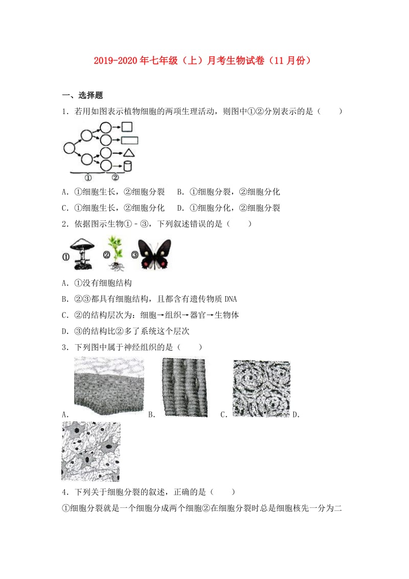 2019-2020年七年级（上）月考生物试卷（11月份）.doc_第1页