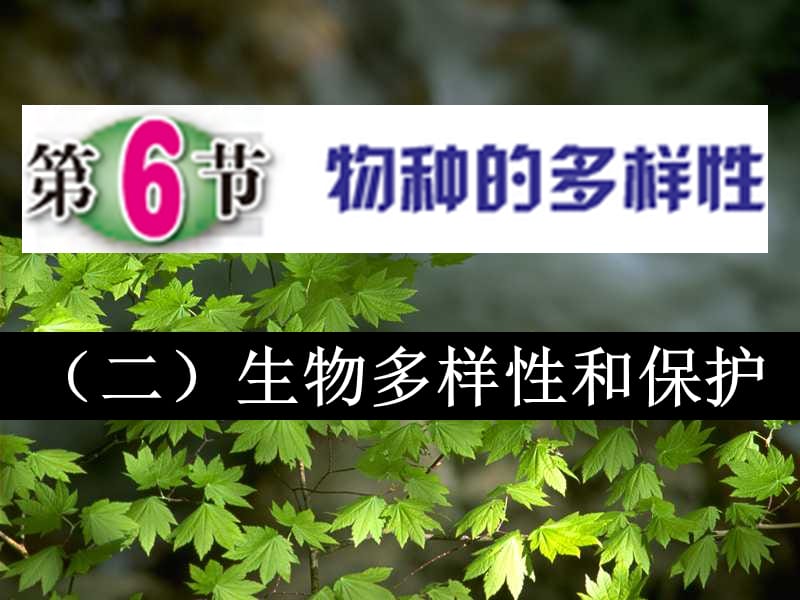 七年级科学上册 第2章 观察生物 2.6 物种的多样性 2 生物多样性和保护课件 浙教版.ppt_第1页