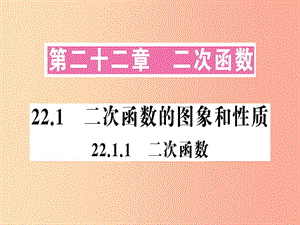 2019年秋九年級(jí)數(shù)學(xué)上冊(cè) 22.1 二次函數(shù)的圖象和性質(zhì) 22.1.1 二次函數(shù)課件 新人教版.ppt