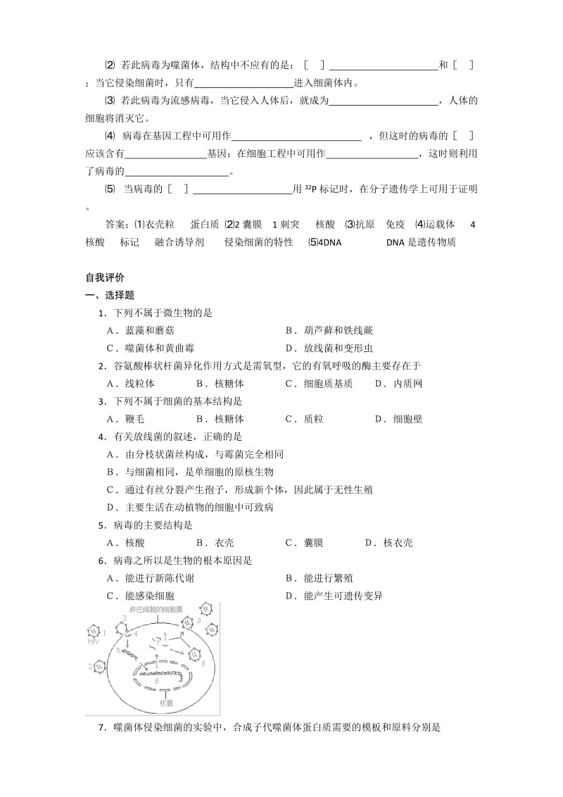 2019-2020年高二生物 第五章 第一节 微生物的类群学案 新人教版选修.doc_第2页