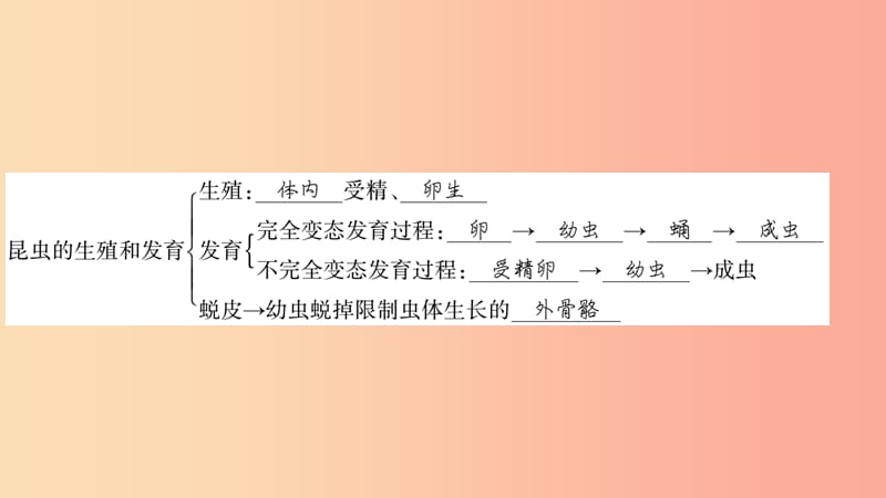 广西省玉林市2019年八年级生物上册 第6单元 第19章 生物的生殖和发育复习与提升课件（新版）北师大版.ppt_第3页