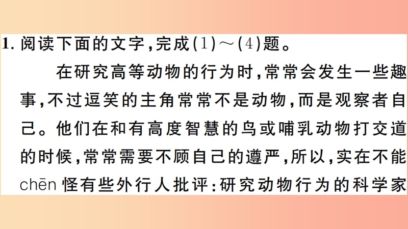 安徽专版2019年七年级语文上册第五单元17动物笑谈习题讲评课件新人教版.ppt_第2页