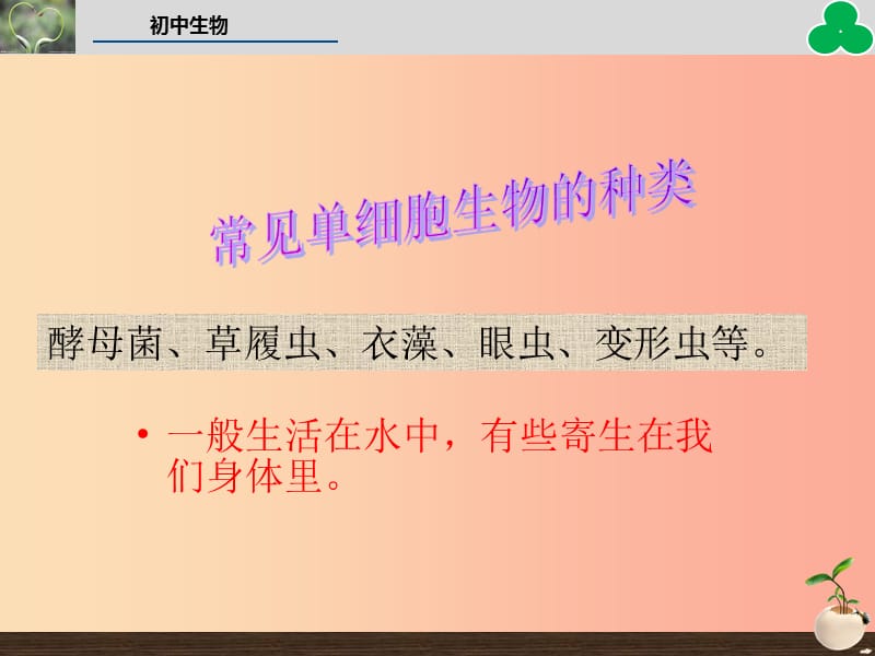 2019年七年级生物上册 第二单元 第二章 第四节 单细胞生物教学课件 新人教版.ppt_第3页