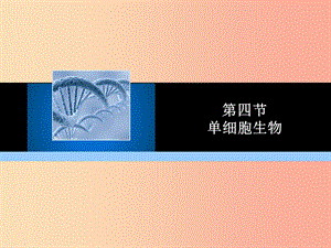 2019年七年級生物上冊 第二單元 第二章 第四節(jié) 單細胞生物教學課件 新人教版.ppt