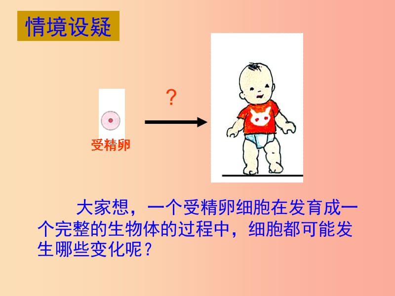 七年级生物上册2.4.1细胞分化形成组织课件1新版北师大版.ppt_第3页