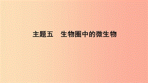 山東省2019年中考生物 主題復習五 生物圈中的微生物課件 濟南版.ppt