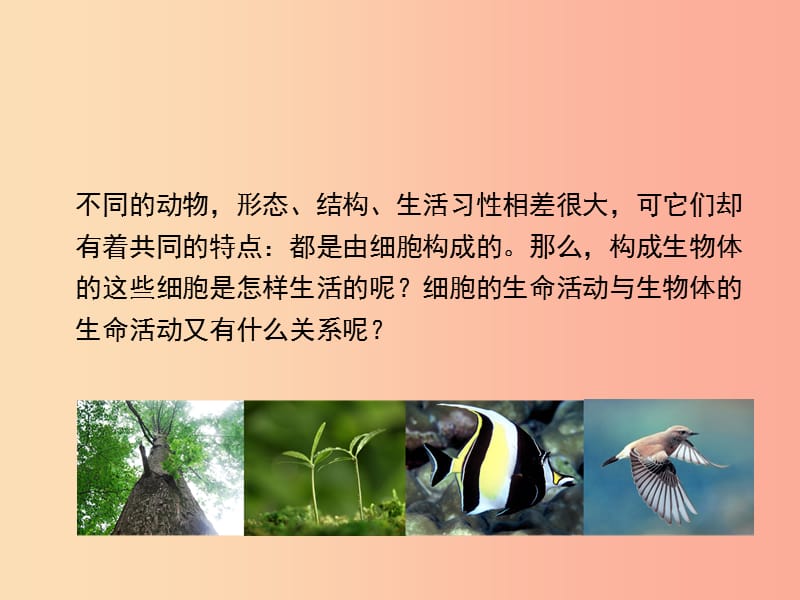 七年级生物上册 2.2.2《细胞是生命活动的单位》课件1 新人教版.ppt_第2页