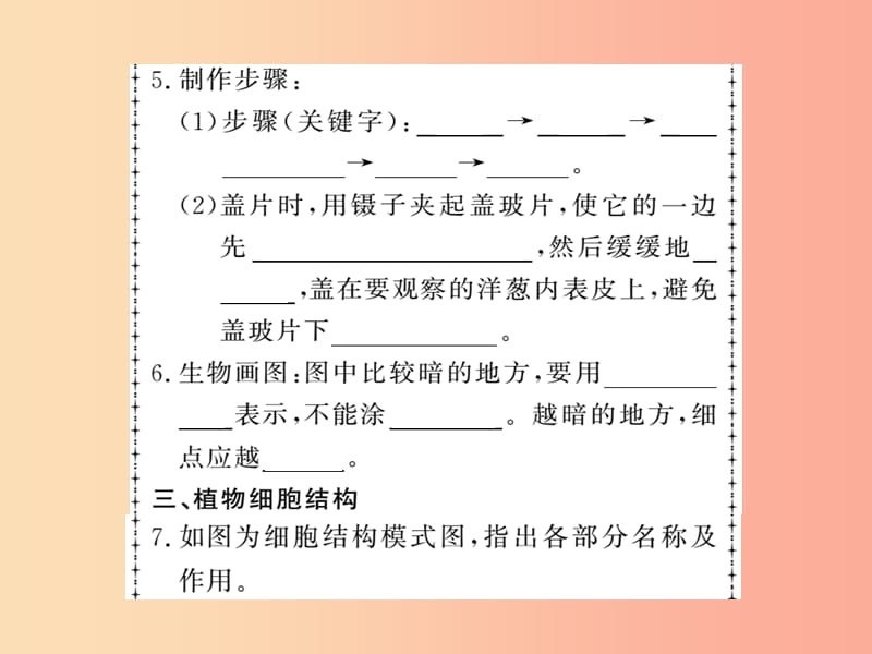 2019年七年级生物上册第2单元第1章第二节植物细胞习题课件 新人教版.ppt_第3页