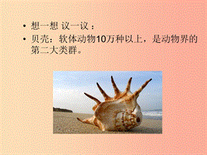 吉林省八年級(jí)生物上冊(cè) 5.1.3 軟體動(dòng)物和節(jié)肢動(dòng)物課件 新人教版.ppt