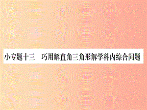 九年級數(shù)學(xué)上冊第24章解直角三角形小專題13巧用解直角三角形解學(xué)科內(nèi)綜合問題作業(yè)課件新版華東師大版.ppt