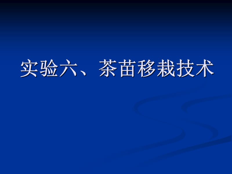 实验六、茶苗移栽技术.ppt_第1页