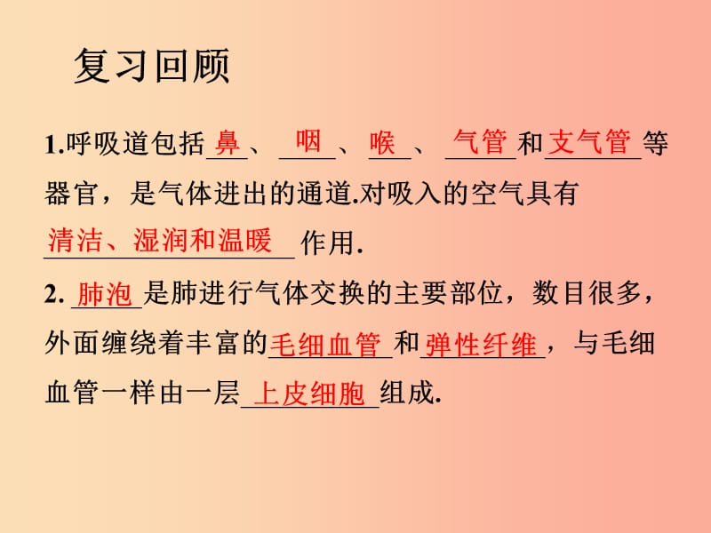 山东省七年级生物下册 3.2.1《人体与外界的气体交换》（第2课时）课件（新版）济南版.ppt_第2页