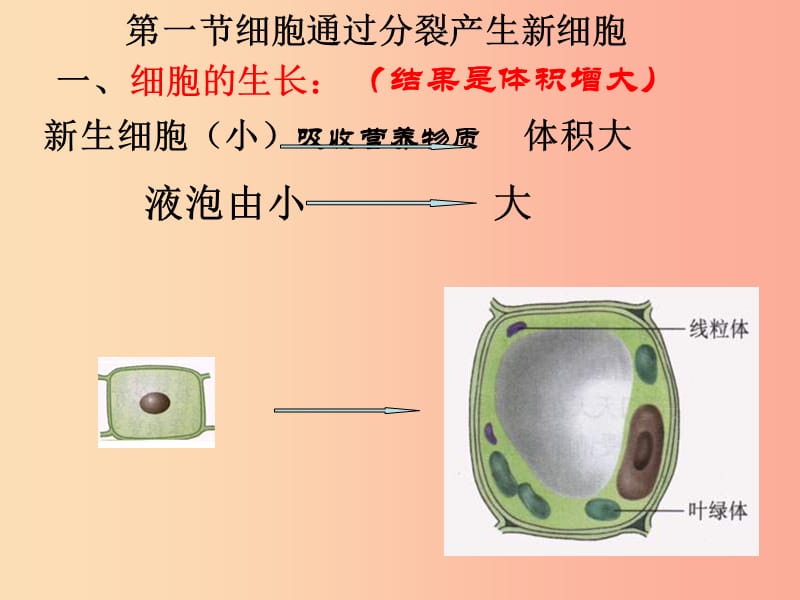 2019年七年级生物上册2.2.1细胞通过分裂产生新细胞课件2 新人教版.ppt_第1页