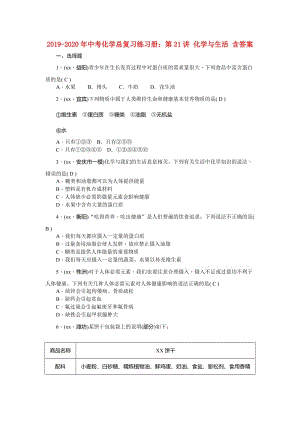 2019-2020年中考化學(xué)總復(fù)習(xí)練習(xí)冊：第21講 化學(xué)與生活 含答案.doc