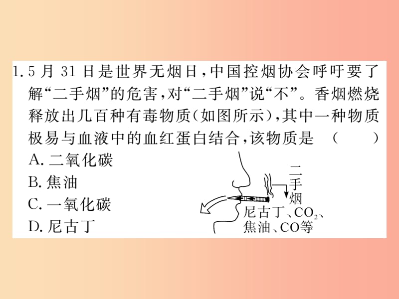 九年级化学上册 第六单元 碳和碳的氧化物 课题3 二氧化碳和一氧化碳 第2课时 一氧化碳练习（含2019模拟）.ppt_第2页