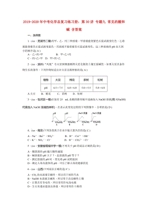 2019-2020年中考化學總復(fù)習練習冊：第30講 專題九 常見的酸和堿 含答案.doc