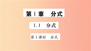 廣西八年級數(shù)學(xué)上冊 第1章 分式 1.1 分式 第1課時 分式習(xí)題課件（新版）湘教版.ppt