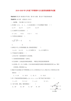 2019-2020年七年級(jí)下學(xué)期期中文化素質(zhì)檢測(cè)數(shù)學(xué)試題.doc