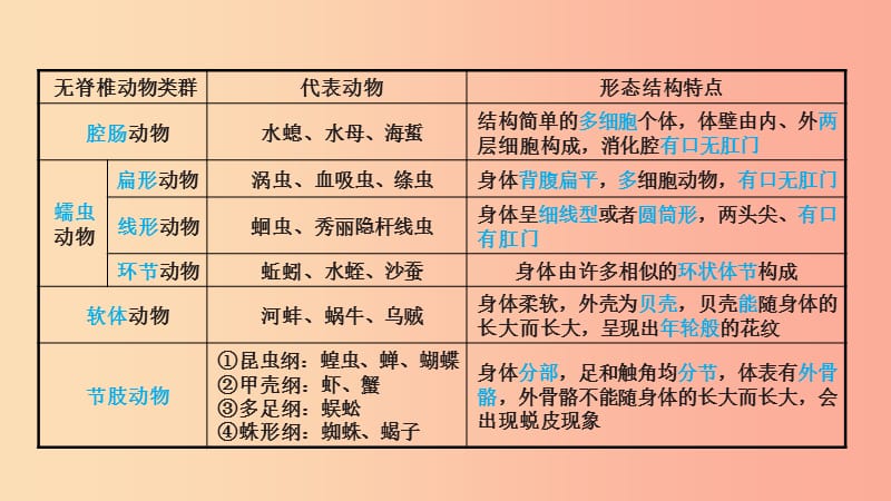 山东省2019年中考生物 主题复习四 生物圈中的动物课件 济南版.ppt_第3页