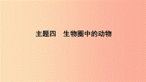 山東省2019年中考生物 主題復(fù)習(xí)四 生物圈中的動(dòng)物課件 濟(jì)南版.ppt