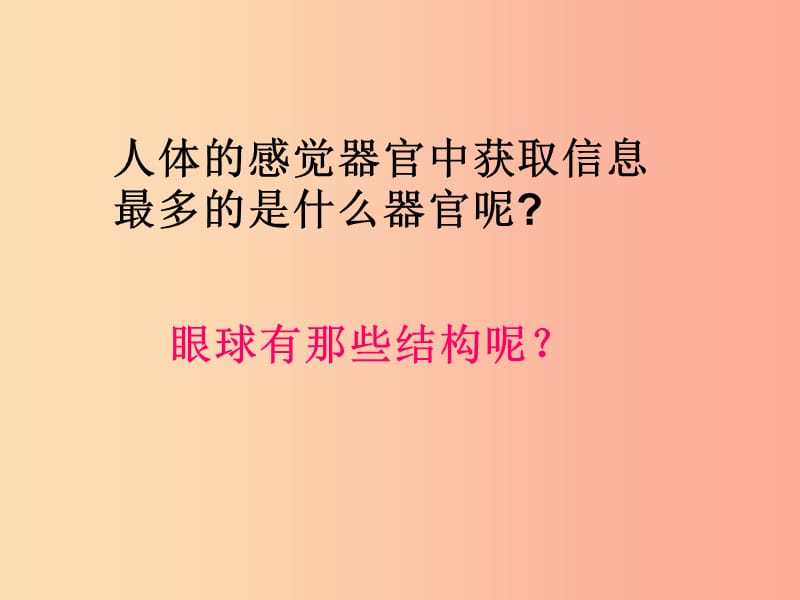 七年级生物下册 4.6.1 人体对外界环境的感知课件3 新人教版.ppt_第2页