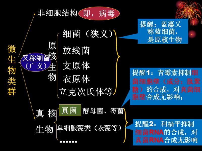 上海高考生物复习会考显微镜下的微生物.ppt_第2页