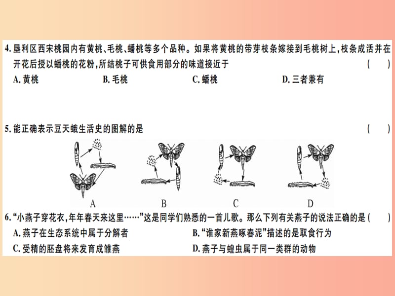 2019春八年级生物下册 期中检测卷课件 新人教版.ppt_第2页