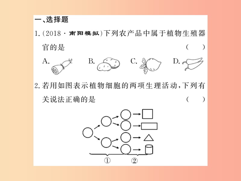 2019年七年级生物上册 期末专题复习 读图识图题习题课件 新人教版.ppt_第2页