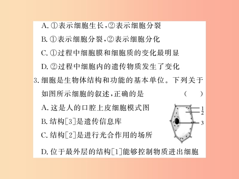 2019年七年级生物上册 期末专题复习 读图识图题习题课件 新人教版.ppt_第3页