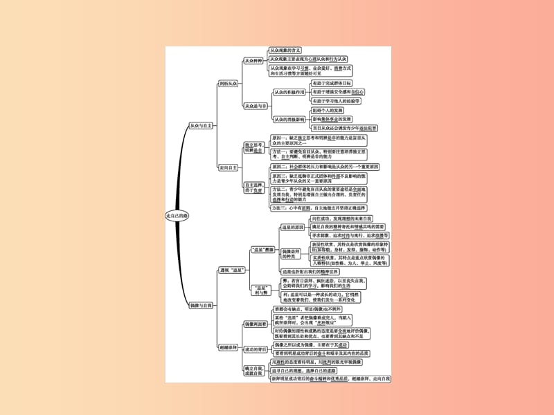 八年级政治上册第三单元走自己的路单元整合课件教科版.ppt_第2页