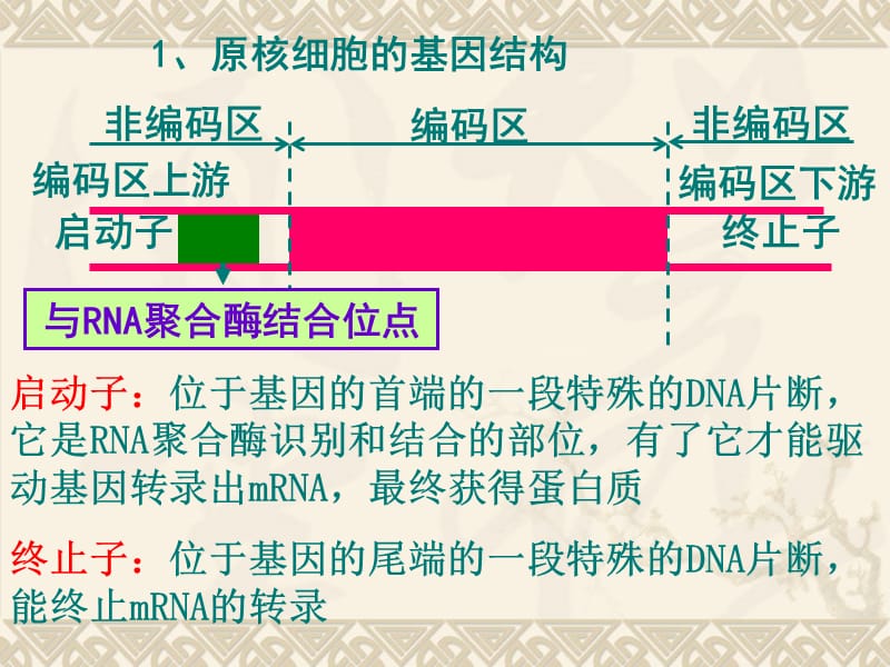 《基因工程的基本操作程序》课件(新人教版选修3).ppt_第1页