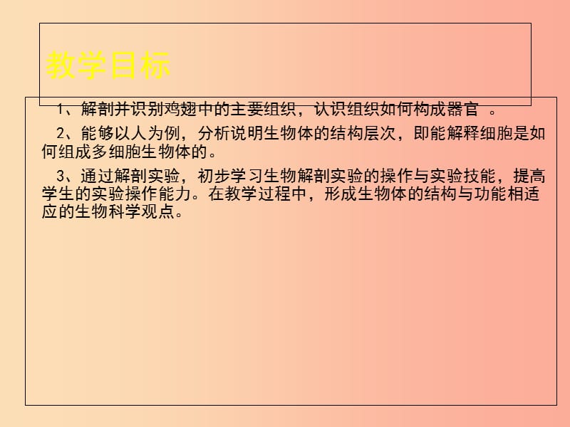 七年级生物上册 4.2生物体的器官、系统课件1（新版）北师大版.ppt_第2页