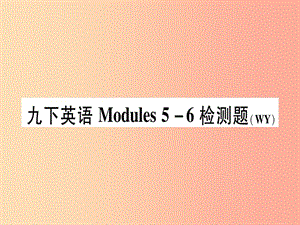 廣西2019秋九年級(jí)英語下冊(cè) Module 5-6檢測(cè)題習(xí)題課件（新版）外研版.ppt