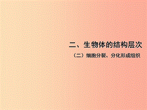 中考（江西專用）2019中考生物 二（二）細胞分裂、分化形成組織習題課件.ppt