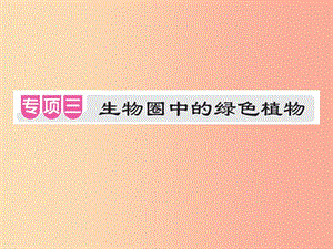 中考（江西專用）2019中考生物 專項提升突破篇 專項三 生物圈中的綠色植物課件.ppt