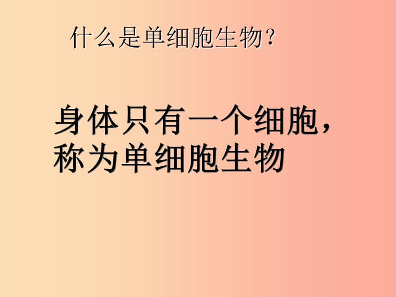 吉林省七年级生物上册 2.3.3 单细胞生物课件 新人教版.ppt_第3页