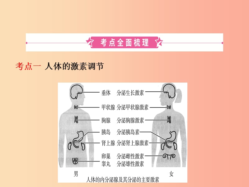 济宁专版2019年中考生物第三单元第五章复习课件.ppt_第2页